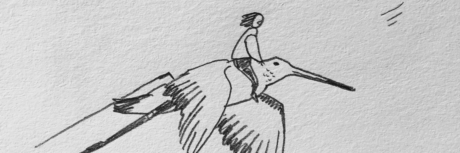 Bingrun Zhu (DREW) banner