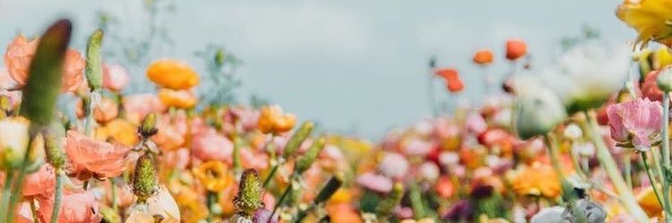 miryamert's profile banner image