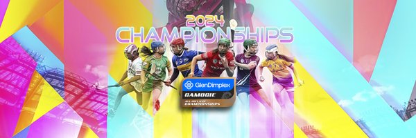 The Camogie Association Profile Banner