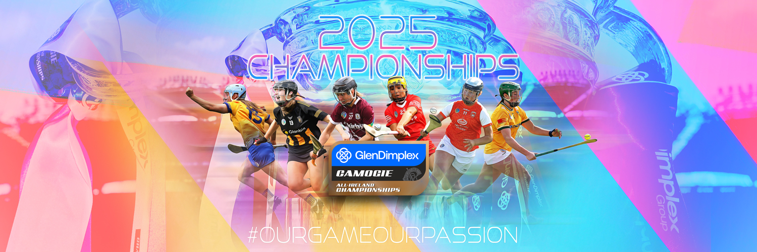 The Camogie Association's banner
