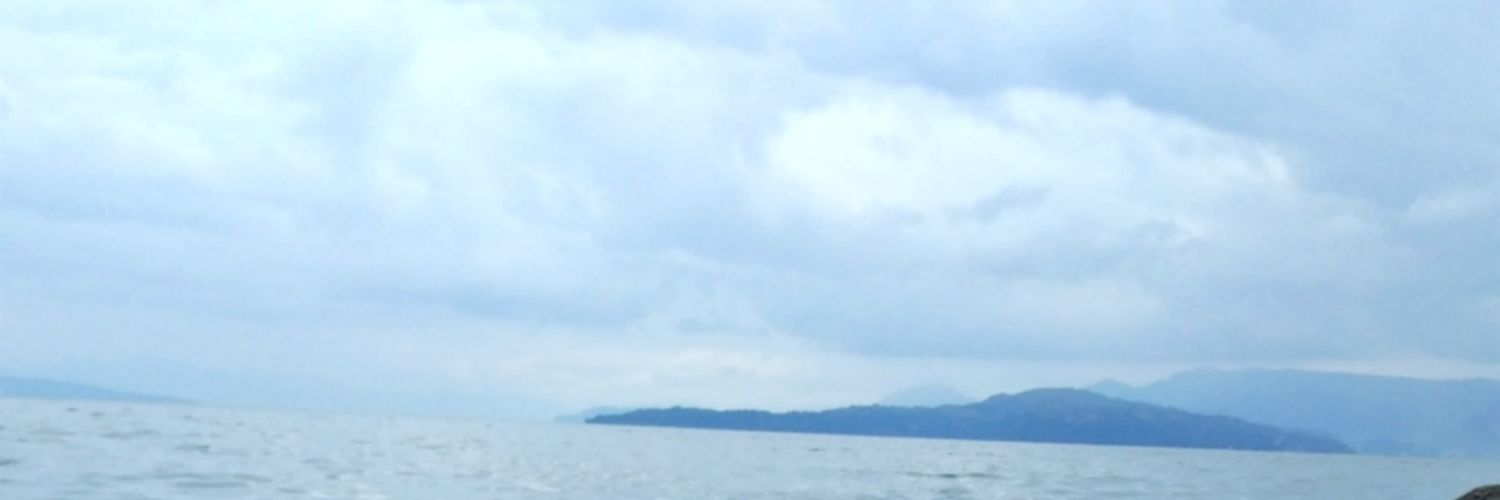 bavosilverius's profile banner image