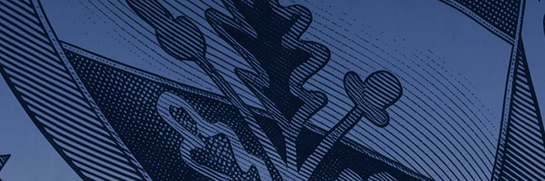 umutbcc's profile banner image