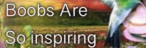 Gabox 🇸🇻🇵🇸🇸🇩 banner