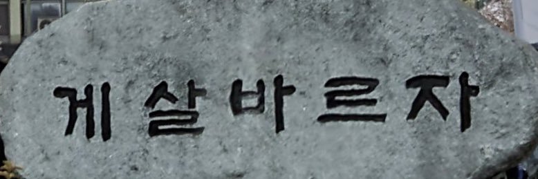 모어 banner