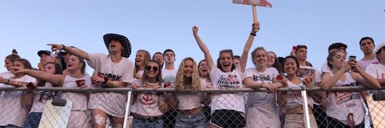clippercrazies's profile banner image