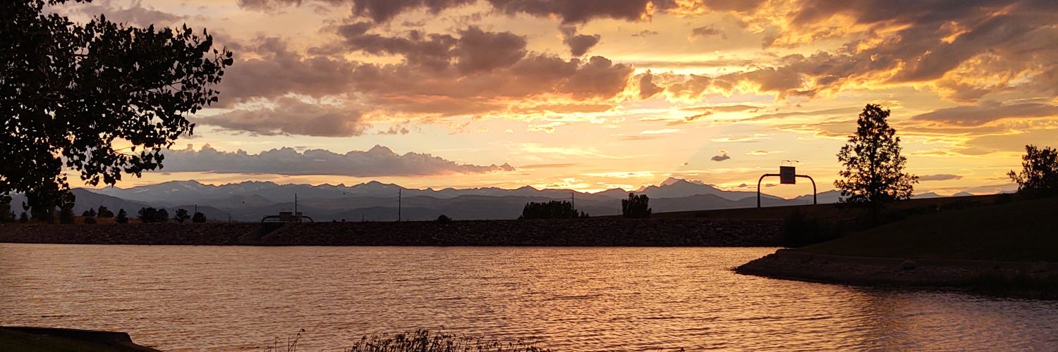 Kailey Pickering banner