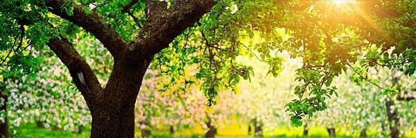 ydkrsnd's profile banner image