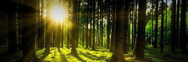CM__W Profile Banner