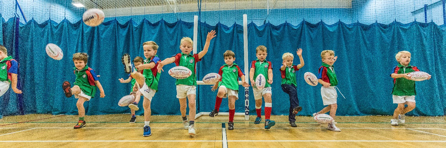 RuggerbugsLtd's profile banner image