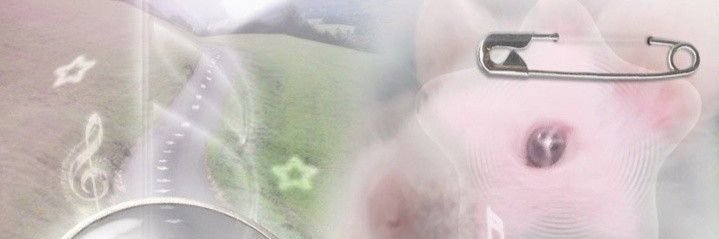 rain ˚⊹♡'s banner