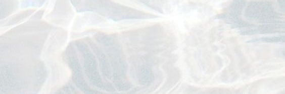 irdinnasaurus's profile banner image