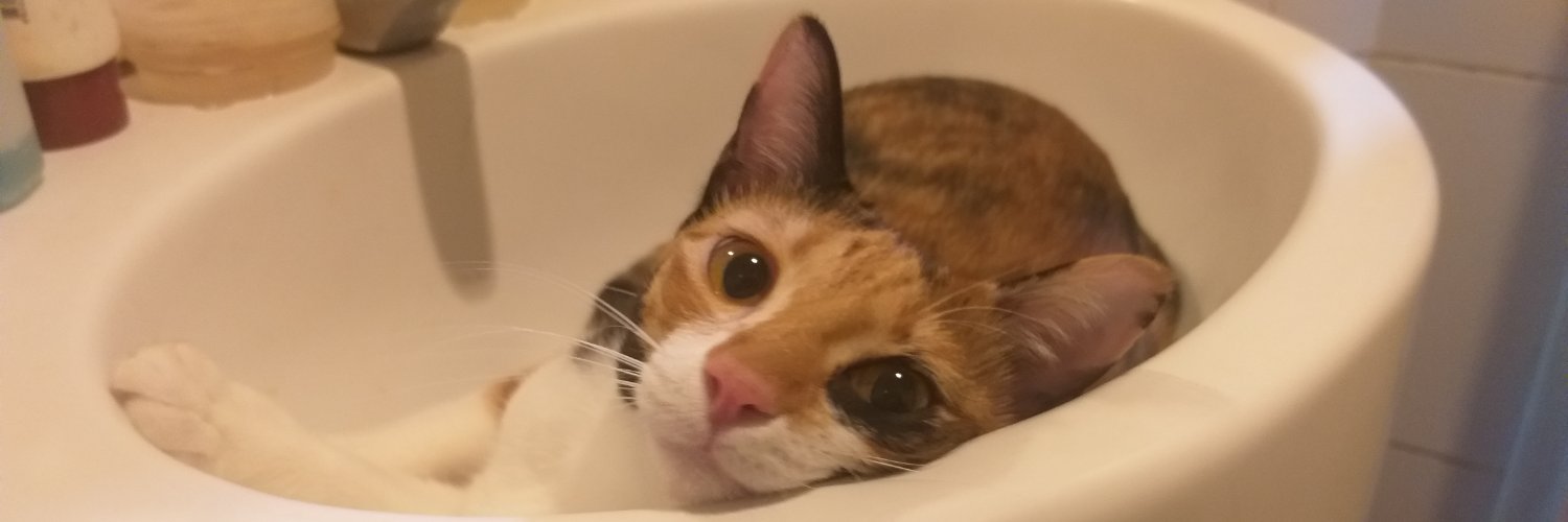 MooseJew's profile banner image