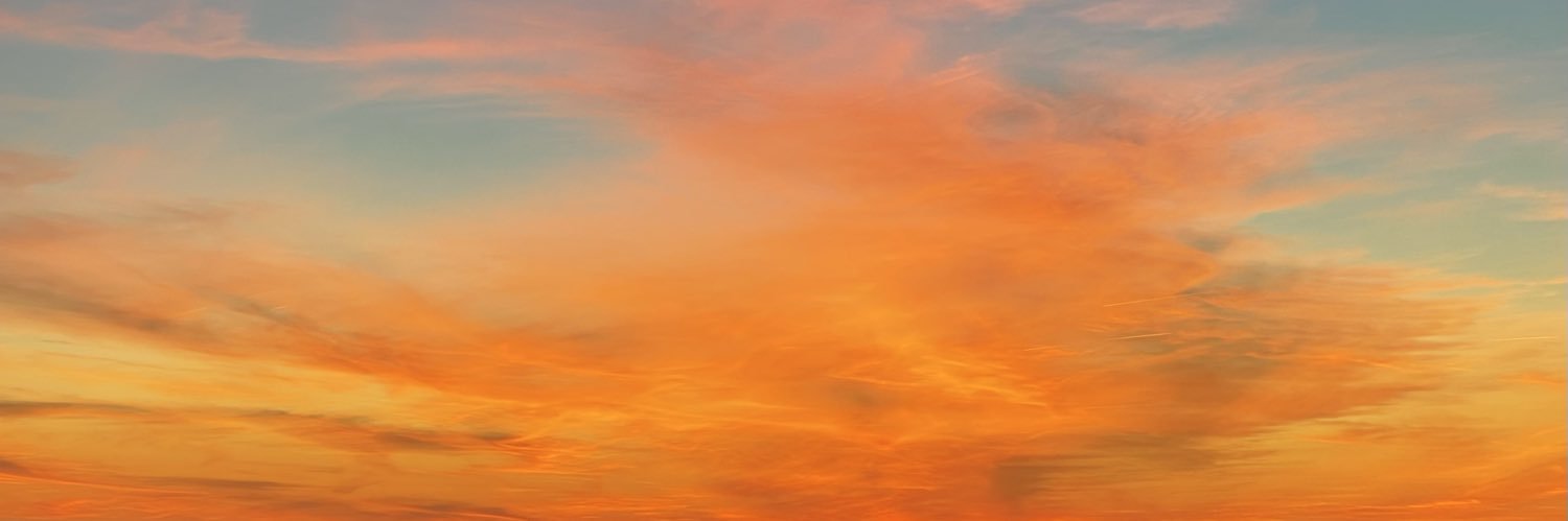 irenebarross's profile banner image