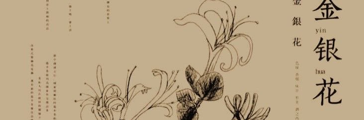 emptyangeIus's profile banner image