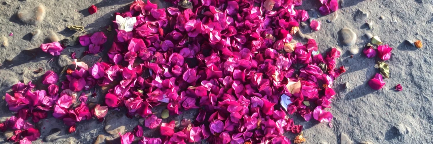 EmanMaged98's profile banner image