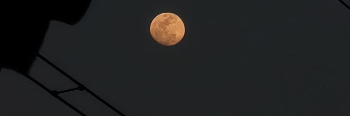 pirpiraaaaaa's profile banner image
