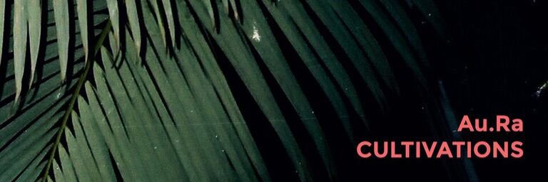 AuRaMusique's profile banner image