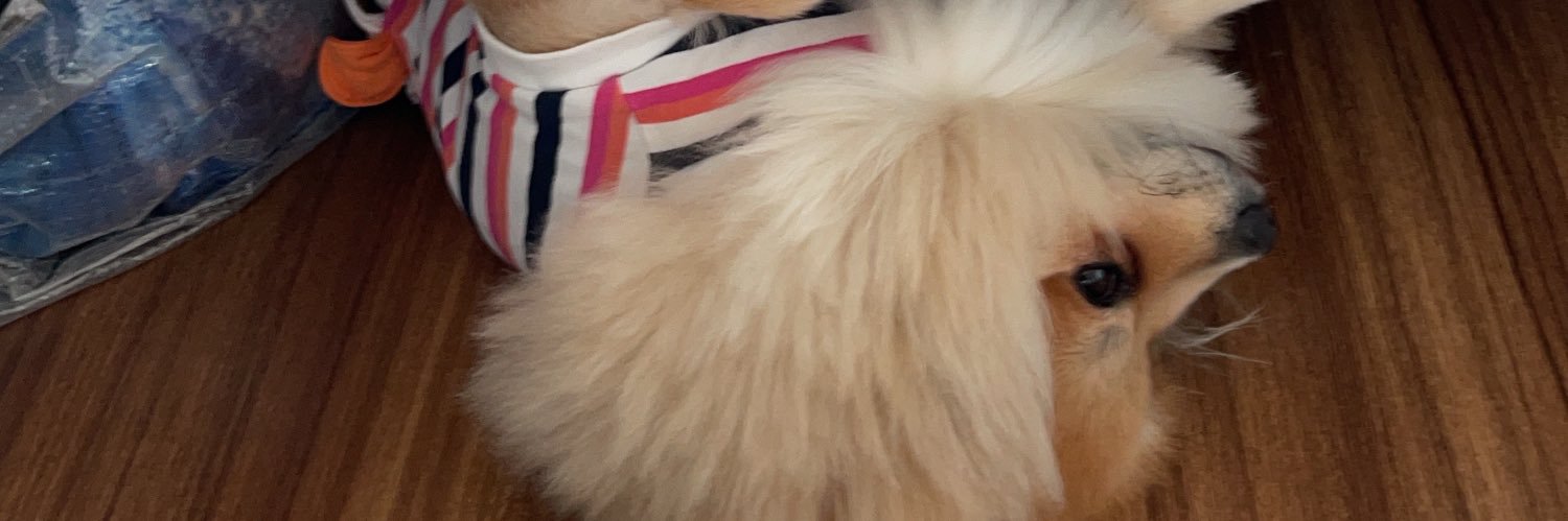 pui_kanl's profile banner image