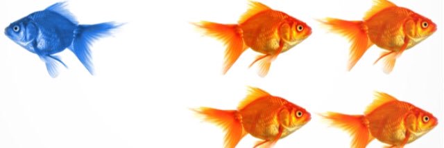 Moaning bloke 𓅪 banner