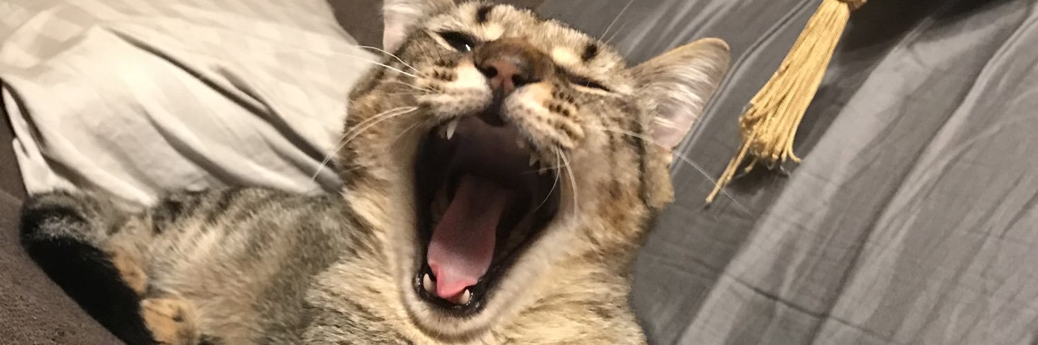 Laufarias_'s profile banner image