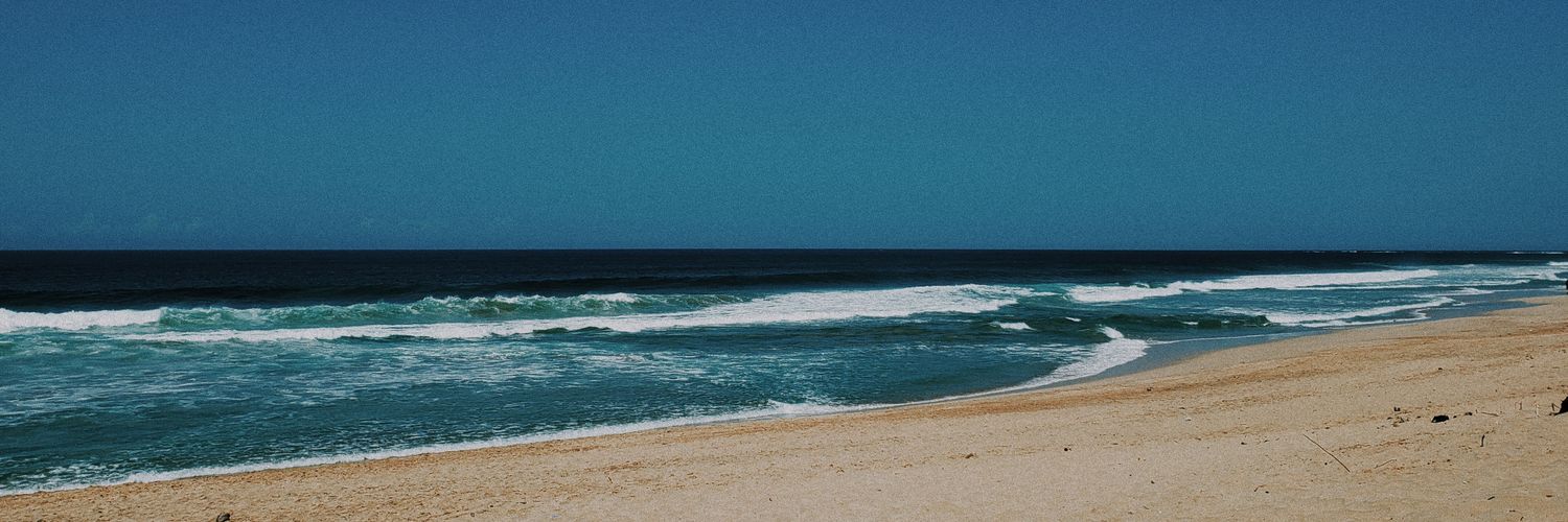 ronnyallan's profile banner image