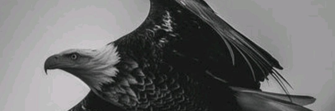 𝗤𝗨𝗔𝗡𝗧𝗨𝗠_ 🌬 banner