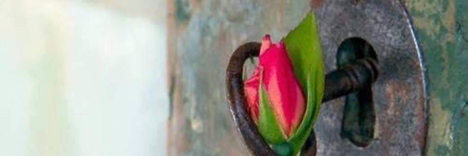 Maria Teresa Salgado Chia banner