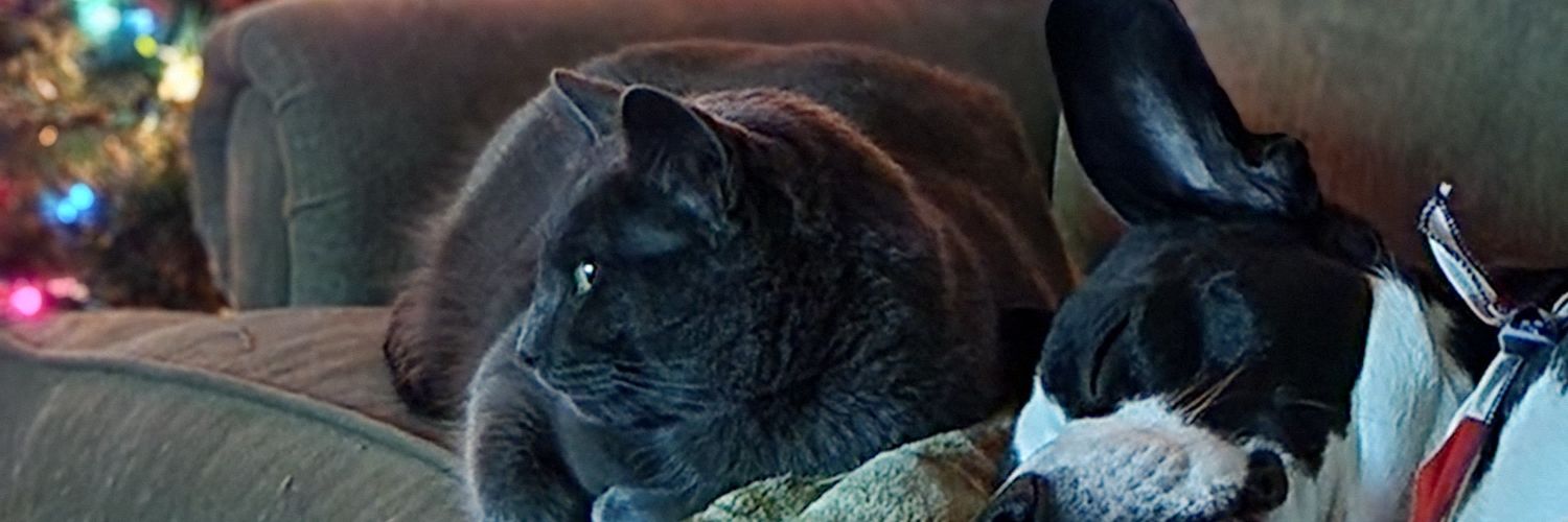 therobwn's profile banner image