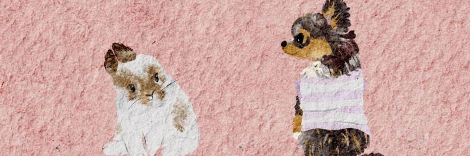 kiddieploy701's profile banner image