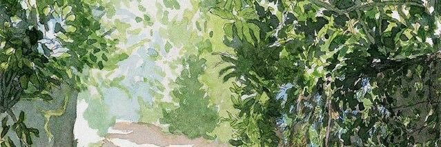 outrorosy's profile banner image