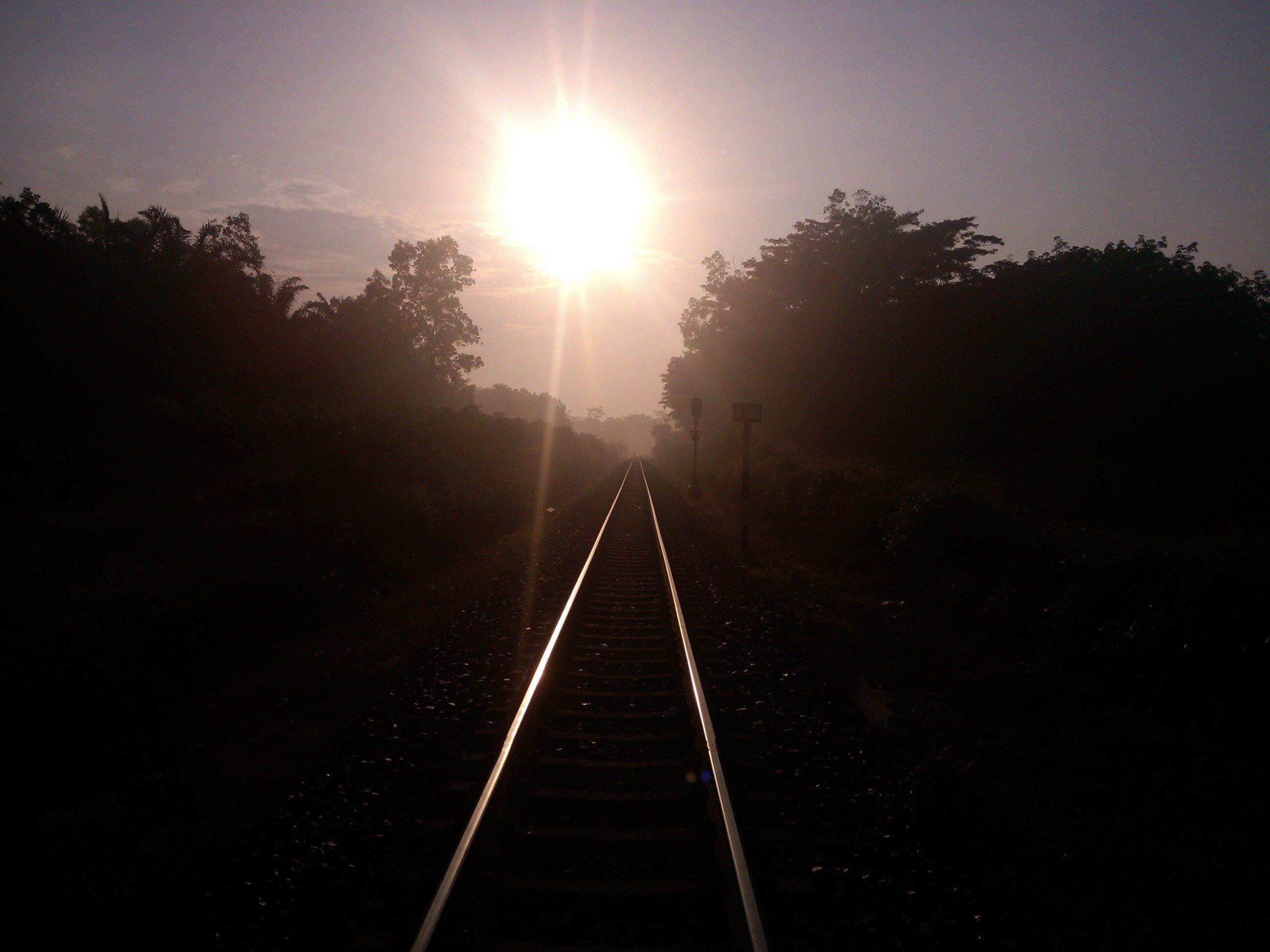 erwanselud's profile banner image