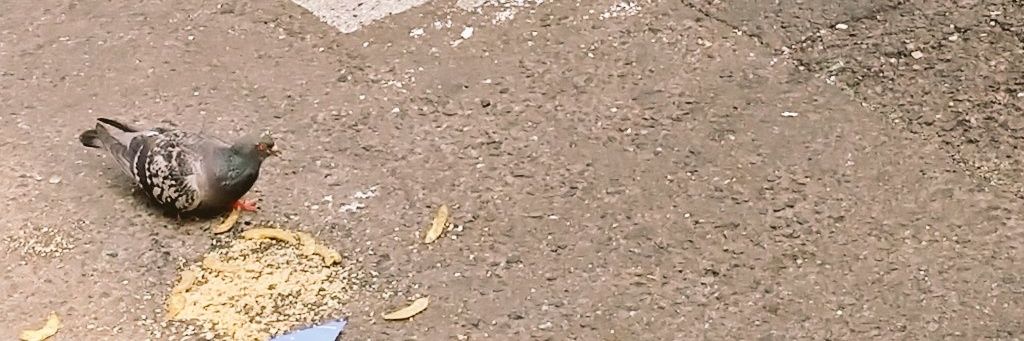 防波堤／てと banner