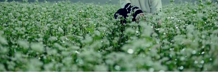 1345_8_m's profile banner image