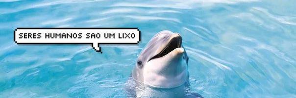 Lucasd_braz's profile banner image