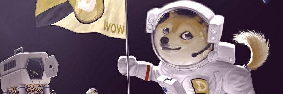 Doge to Mars banner
