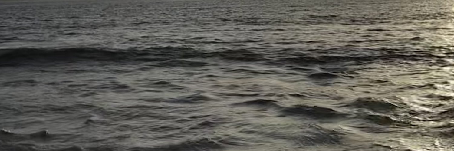 BeeaRules's profile banner image