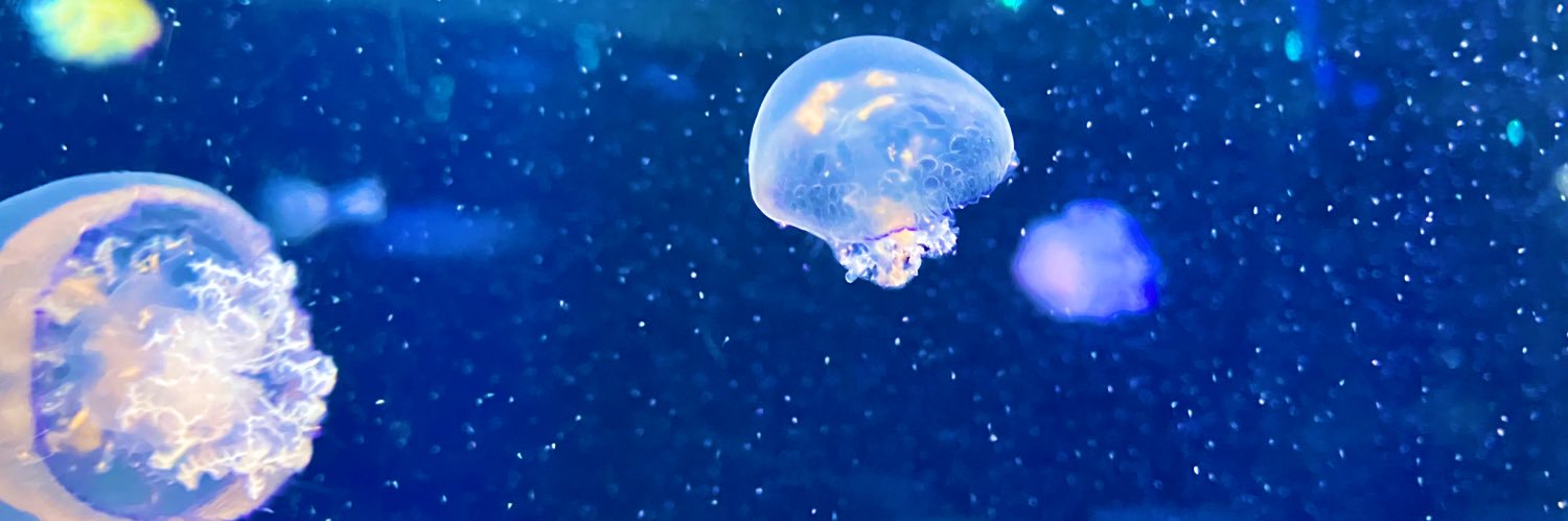 link_0816's profile banner image