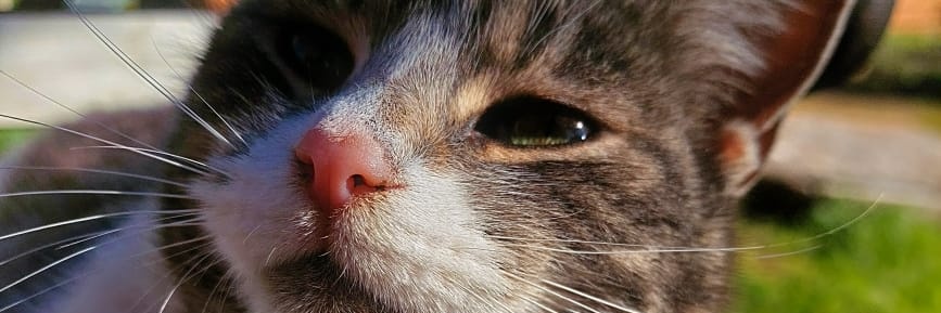 B_eeee_l's profile banner image