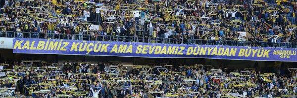 oykuozgenoglu's profile banner image