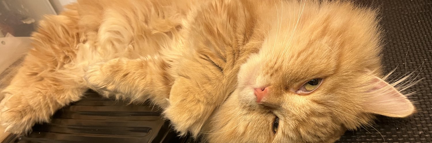 jamjamcat's profile banner image