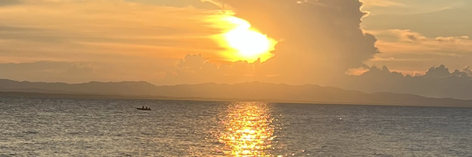 sherbets__'s profile banner image