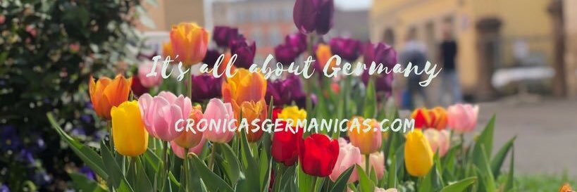 Elisabet ~ crónicas germánicas banner