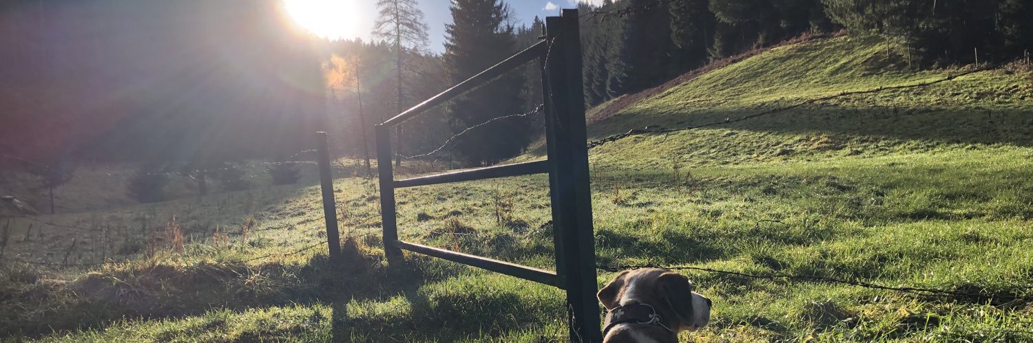 dabbesje's profile banner image