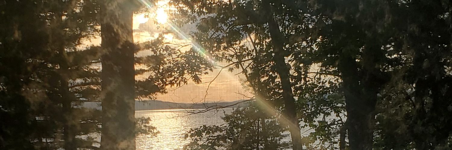 Bridget Reed Morawski, freelance reporter banner