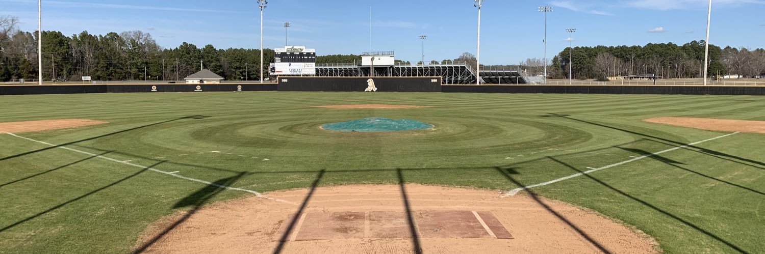 Amory Baseball banner