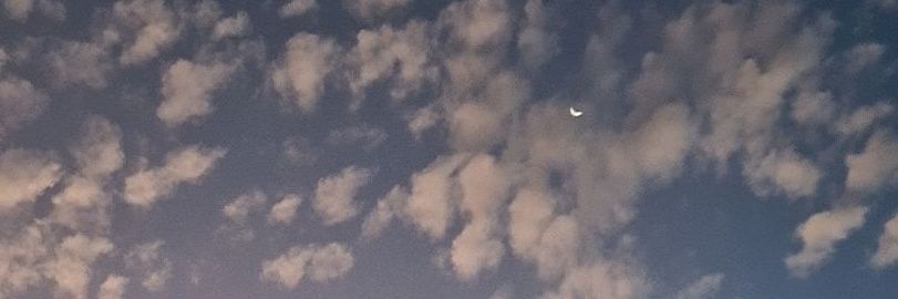 alex banner