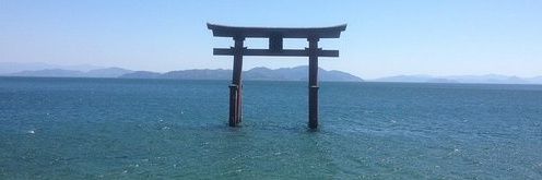 miko_masa's profile banner image
