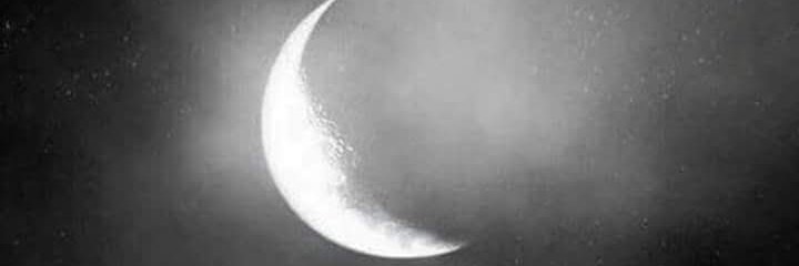 MaziyarSh's profile banner image