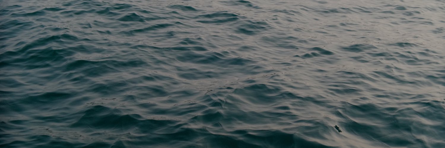 DANIELCUTTER2's profile banner image