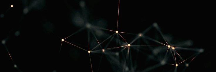 Stef banner